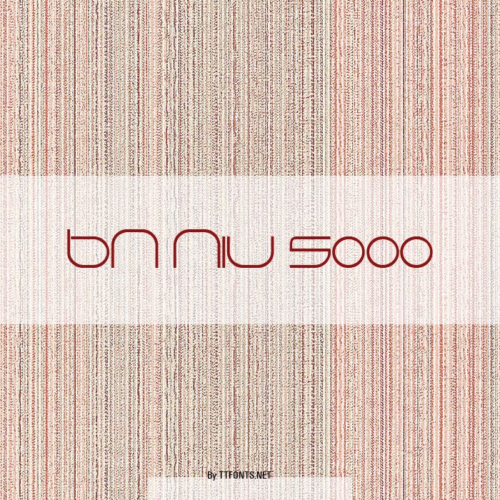 BN Niv 5000 example